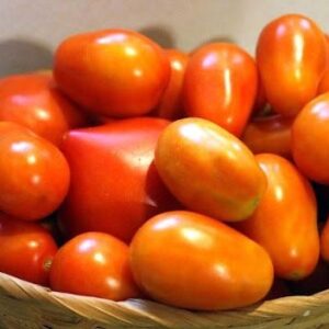 Tomates fraîches de le ferme-panier de 5kg