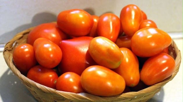 Tomates fraîches de le ferme-panier de 5kg